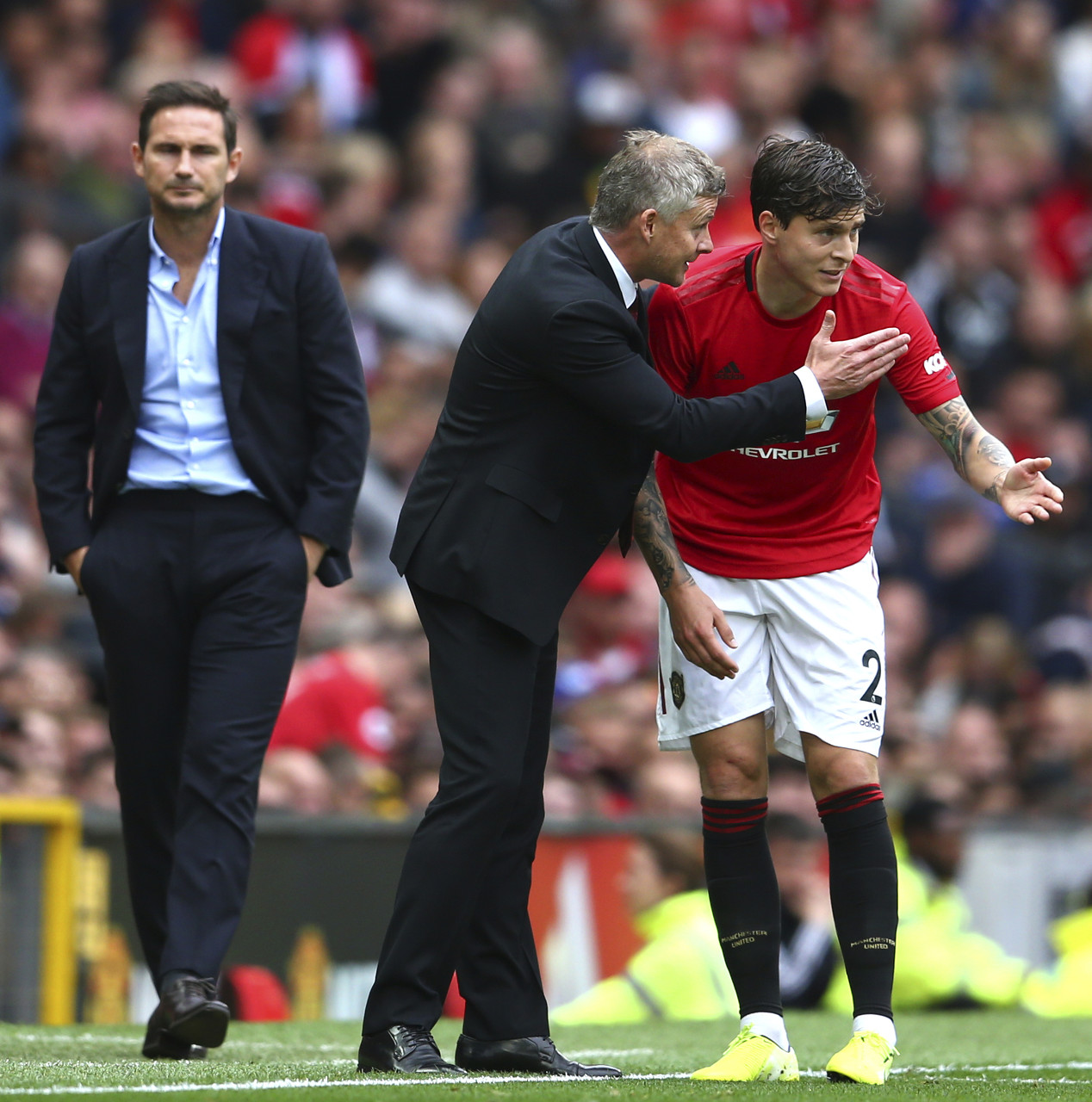 熟度和年轻 熟度和年轻